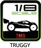 Louise-car-18truggy