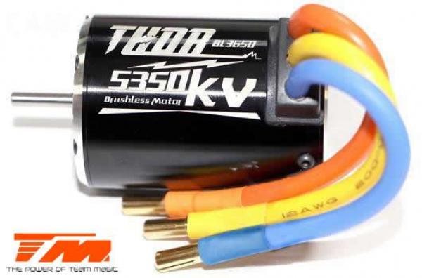 TM191005 Brushless Motor - THOR 3650 - 6.5T / 5350KV (3.17mm achse)